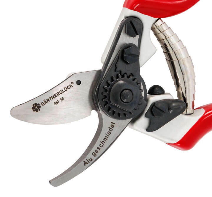 GÄRTNERGLÜCK Gartenschere Ergoline GSP 26